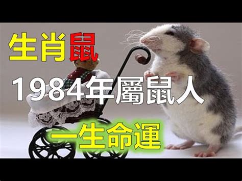 1984鼠五行|【1984年五行】揭曉！1984年五行屬什麼？鼠年的你五行命運大。